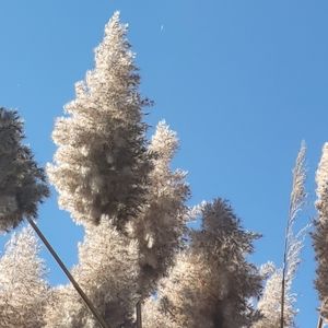 Meet your Posher, Samina